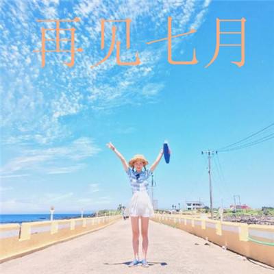 飞行队长vr破解版下载